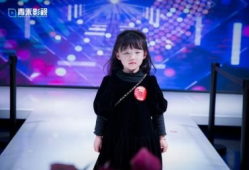 禾麻豆,探寻农耕文明的智慧结晶